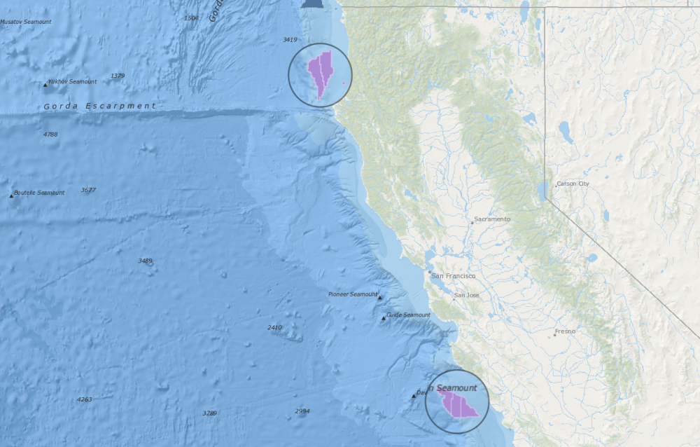 Biden-Harris administration announces winners of California offshore ...